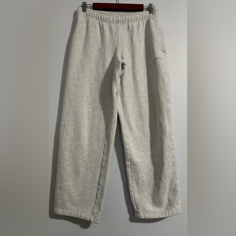 Aritzia Light Heather Gray Wide-Leg Joggers